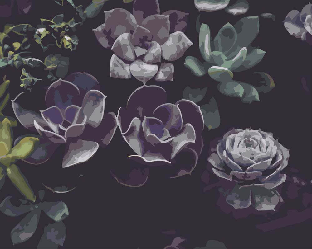 paint by numbers succulent Paint by Numbers - Succulents in the Allan Gardens – Numbers to Art