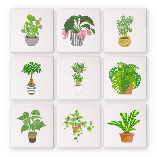 Paint by Numbers - 9 Mini Paintings | Houseplants