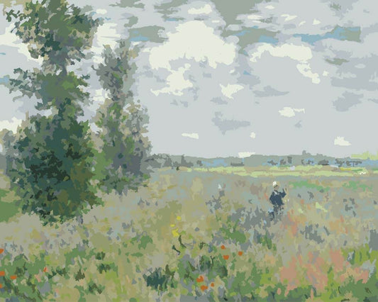 Paint by Numbers - Poppy Field near Argenteuil | Claude Monet